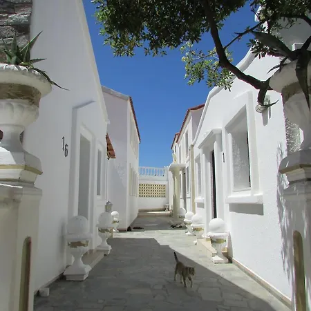 Πανσιόν Castellino