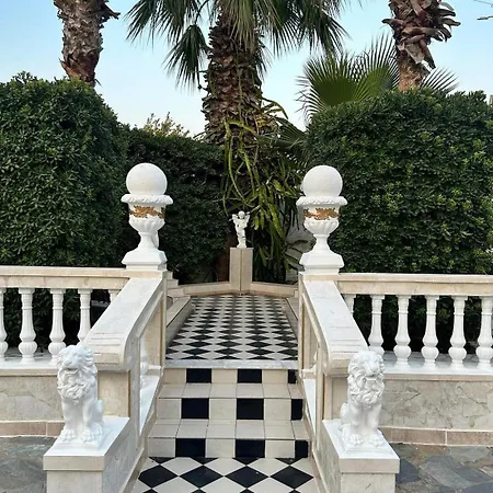 Castellino Studios