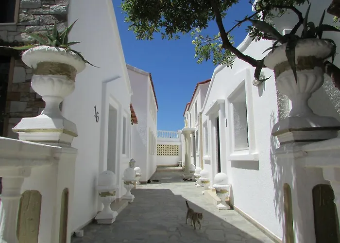 Πανσιόν Castellino